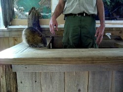 Thumbs/tn_8-2-02 Cypress Swamp Tour 14.jpg